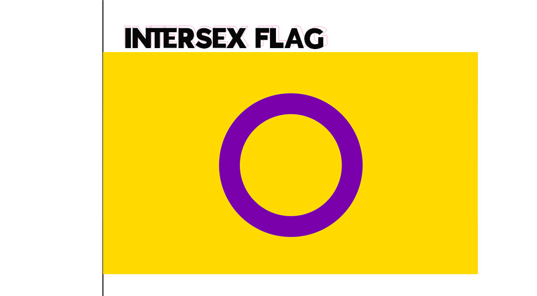 Intersex Flag History of the Rainbow Flag