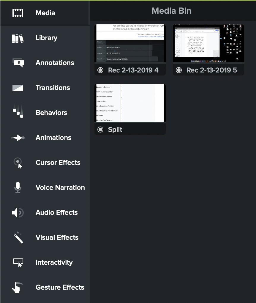 Illustration of the Tool Bin with the Media Bin Selected