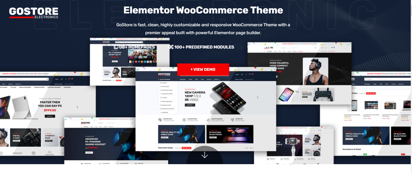 Ecommerce WordPress Theme - GoStore