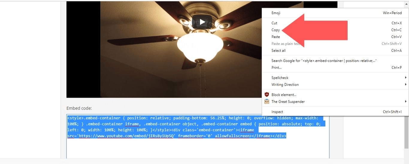 Copy the Embed Code