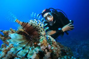 Marine Biologist 