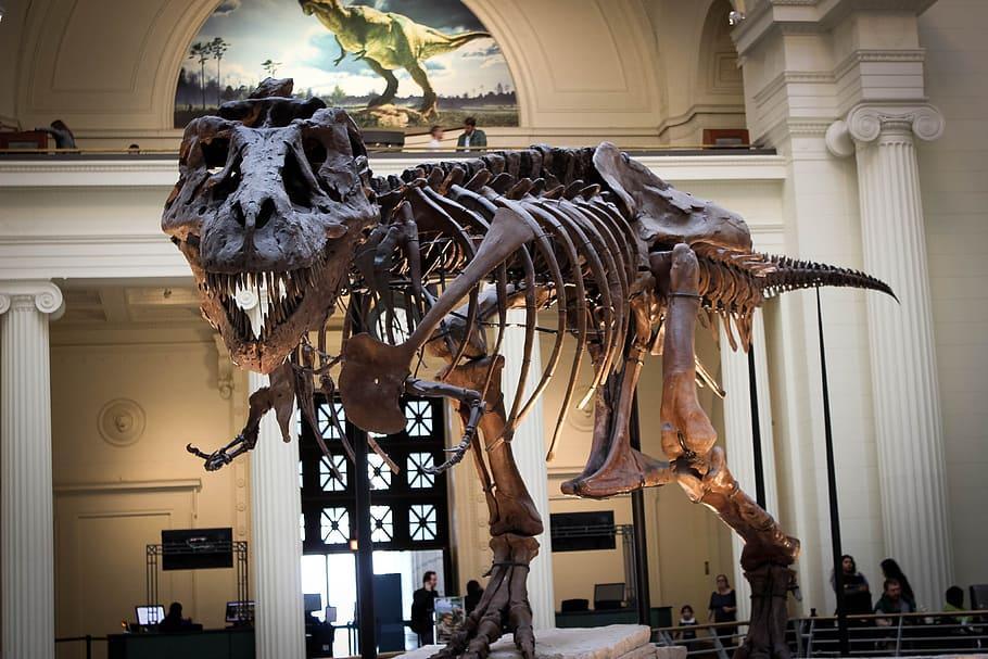 متحف الديناصورات اسطنبول