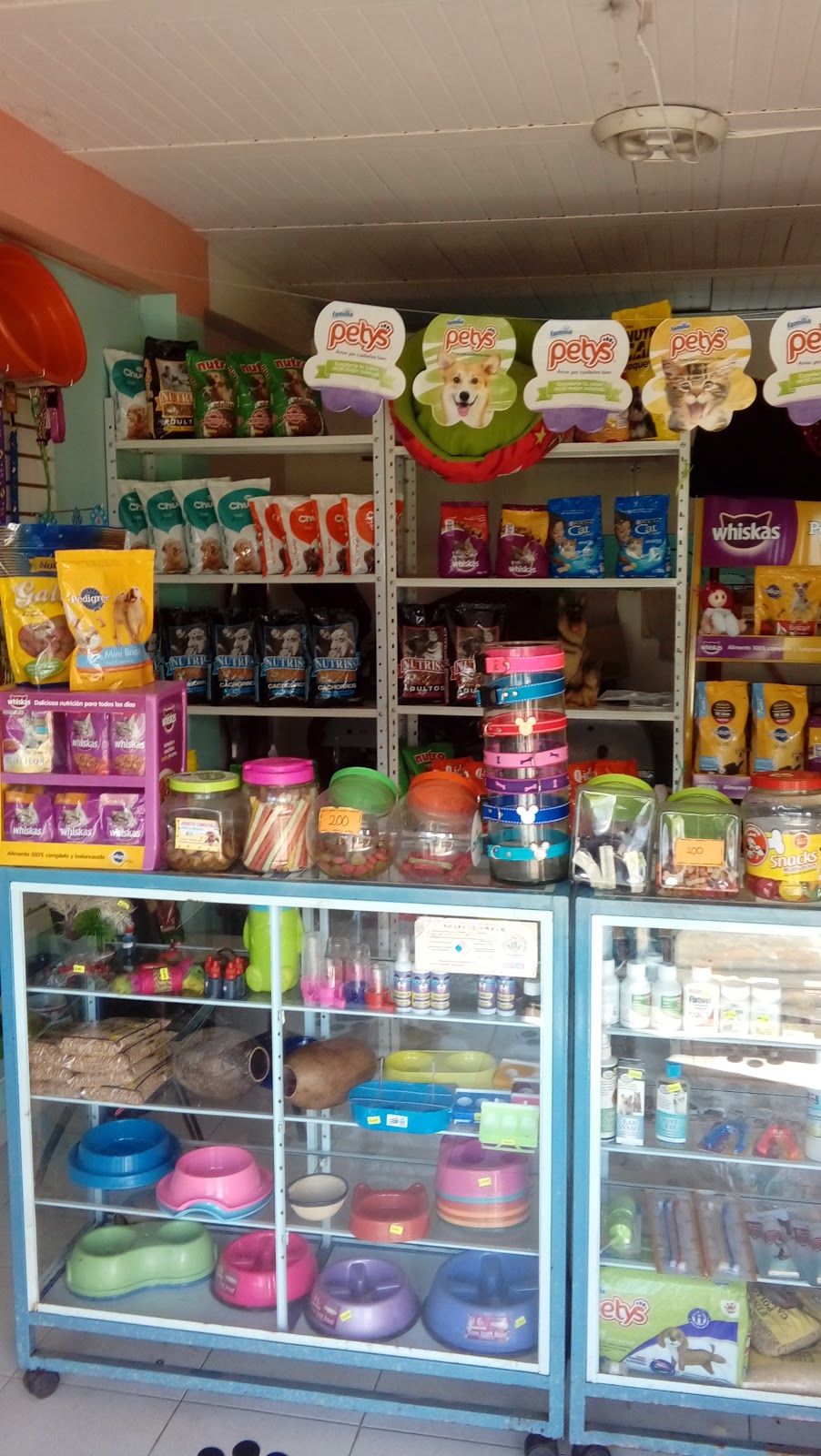 Peluqueria Canina Ladridos Y Colas