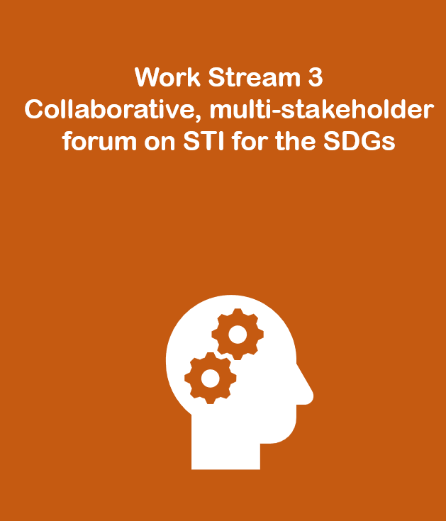 Work Stream 3: Collaborative, multi-stakeholder forum on STI for the SDGs