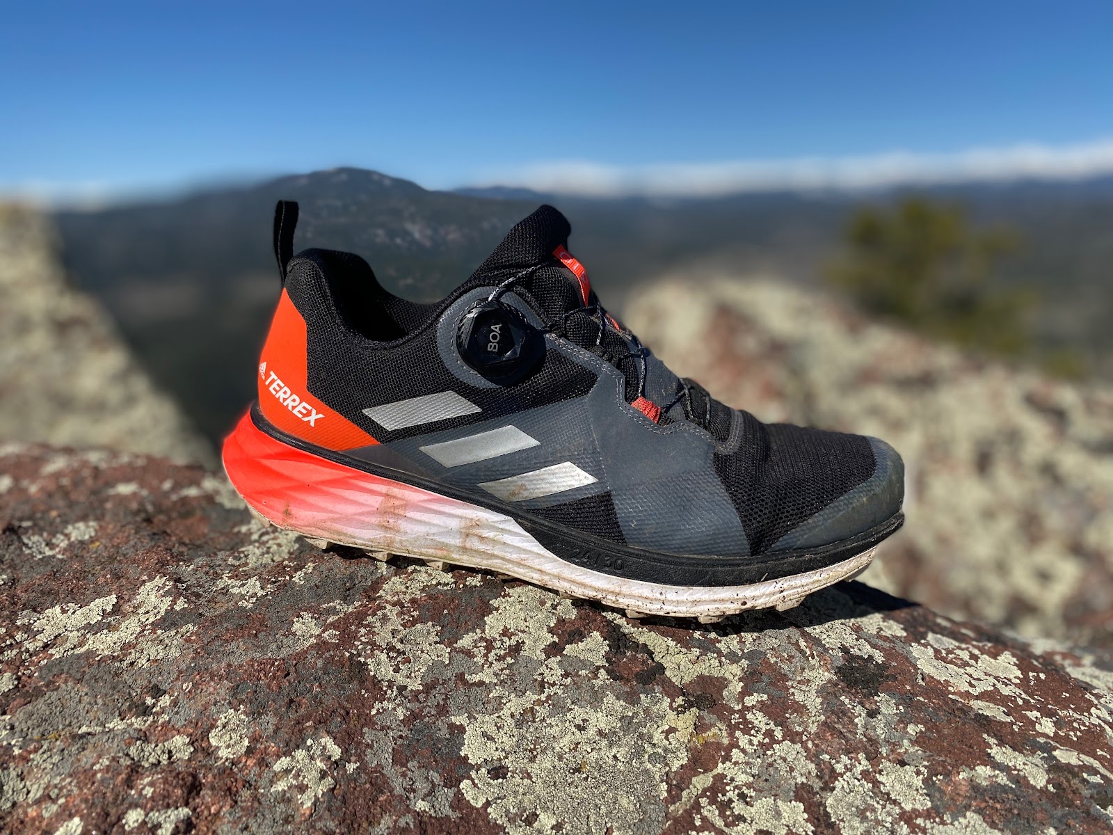 Irradiar Intenso distrito Road Trail Run: adidas Terrex Two BOA Review: Dialed In, Comfortable, and  Versatile