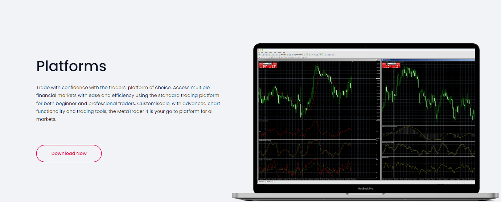 Торговая платформа fuelibornitex