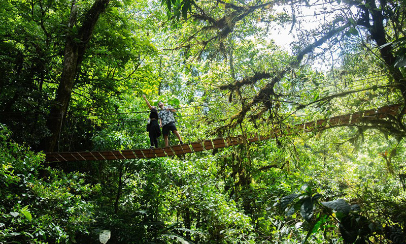 El Tigre Waterfalls