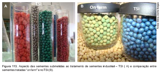 Comparando o tratamento de sementes on farm e o industrial (TSI)