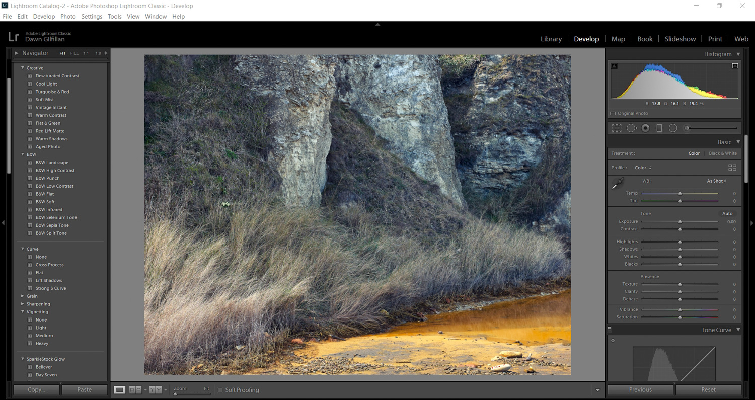 Lightroom Develop module interface