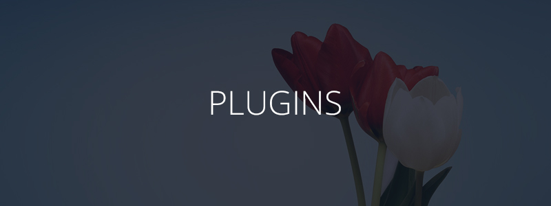 4-julho-descontos-plugins
