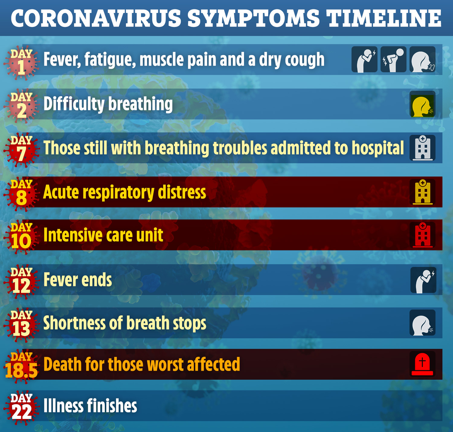  Scientists have produced a day-by-day breakdown of the typical Covid-19 symptoms