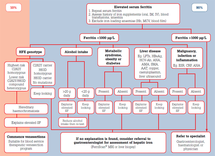 ferritin