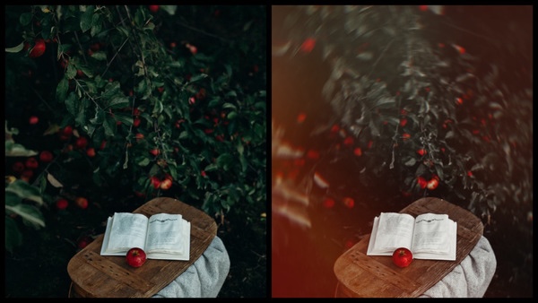 Montagem com 2 fotos do livro com uma maçã mostrando o antes e depois da edição.