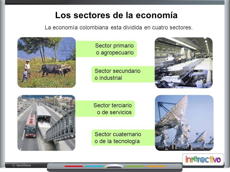 Resultado de imagen para imagenes sectores de la economia