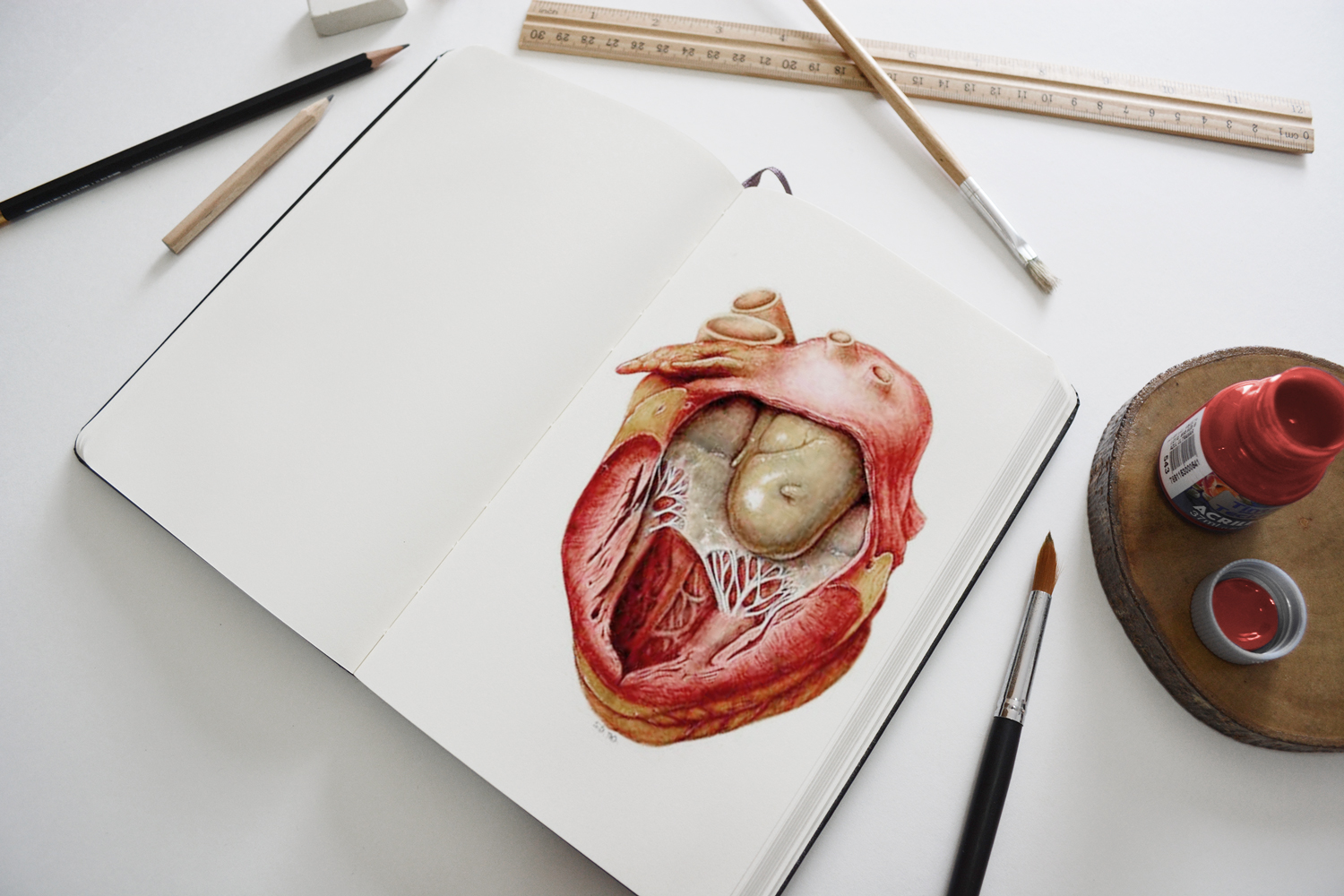 heart-artbook.jpg