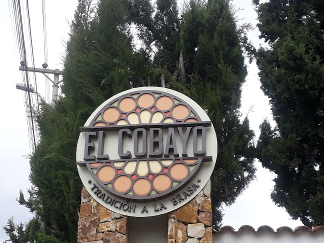 el-cobayo.negocio.site