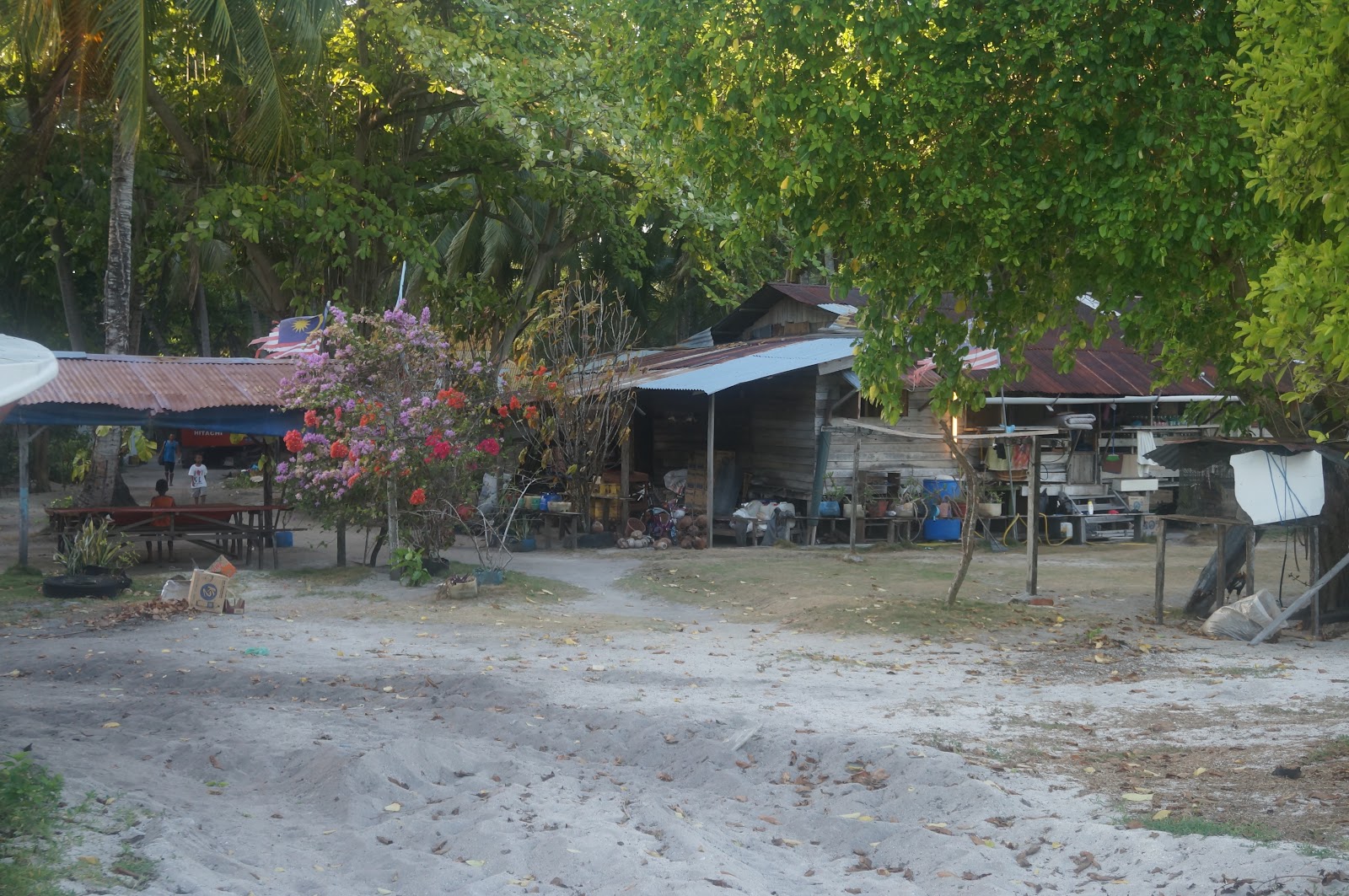 DSC08221.JPG