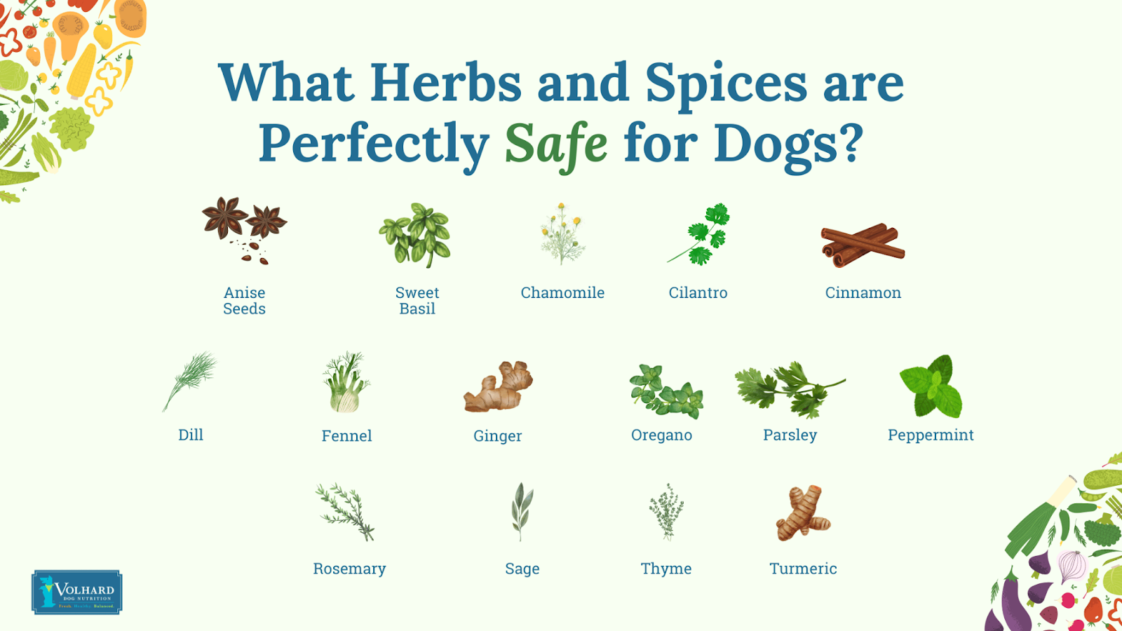 Herbs and spices that are perfectly safe for dogs