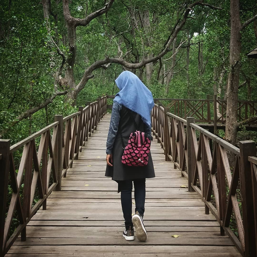 Ekowisata Mangrove Penajam 