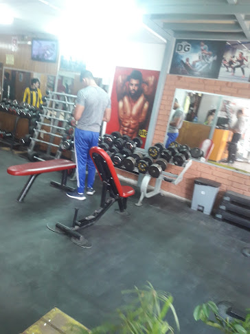 Opiniones de DG Gym Madrid en Arequipa - Gimnasio