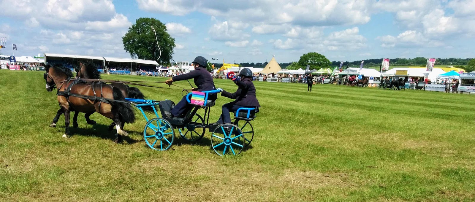 Pony cart at Hertfordshire county show