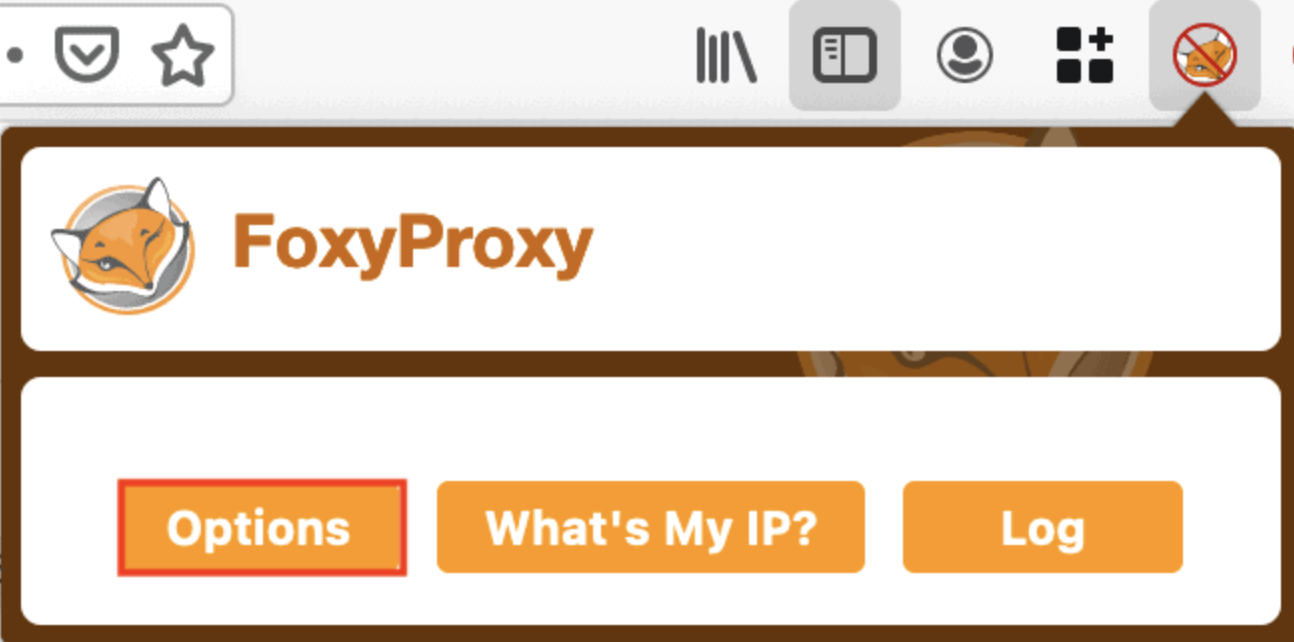 What is FoxyProxy: Features & Setting Up on Chrome and Firefox - 7