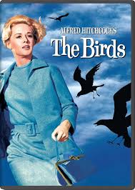 Amazon.com: The Birds: Tippi Hedren, Rod Taylor, Jessica Tandy, Suzanne  Pleshette, Veronica Cartwright, Malcolm Atterbury, Alfred Hitchcock, Alfred  Hitchcock, Evan Hunter: Movies & TV