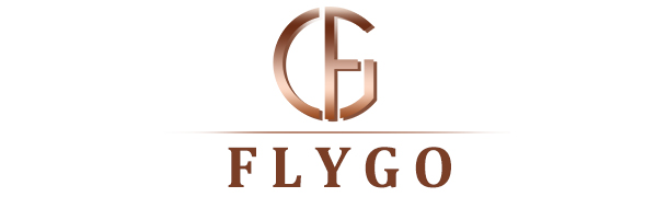 Flygo Brand Logo