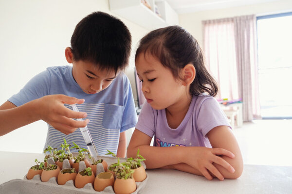 Phương pháp giáo dục Montessori là gì? Tại sao lại được ưa chuộng? 