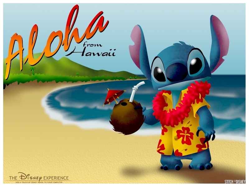 Image result for lilo and stitch hawaii