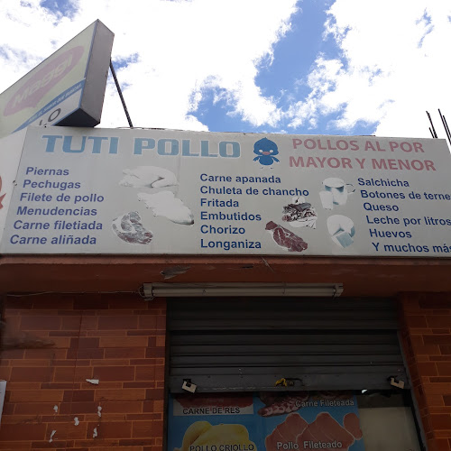Tuti Pollo