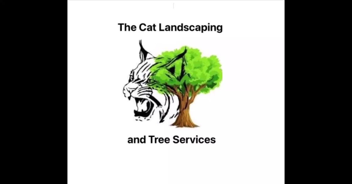 The Cat Landscaping and Tree Services.mp4