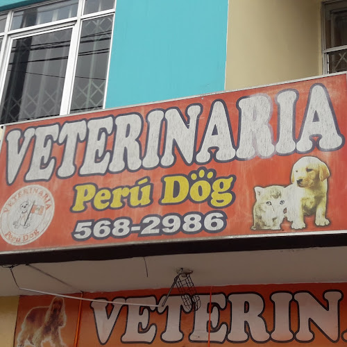 Veterinaria Peru Dog - Veterinario
