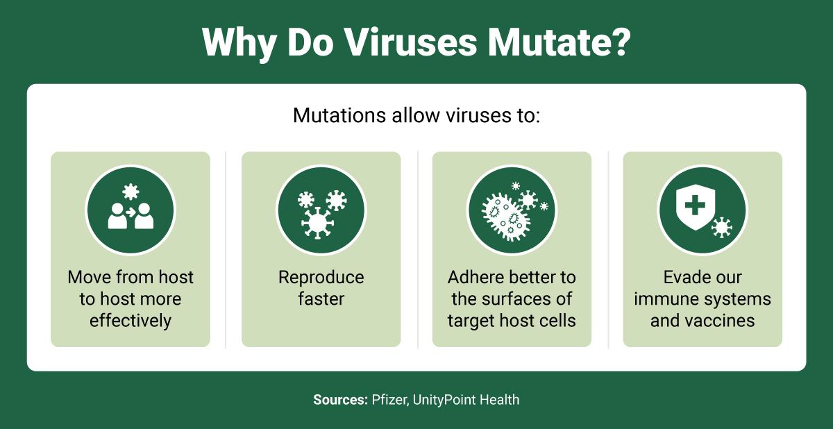 Four reasons viruses mutate, each illustrated with an icon.