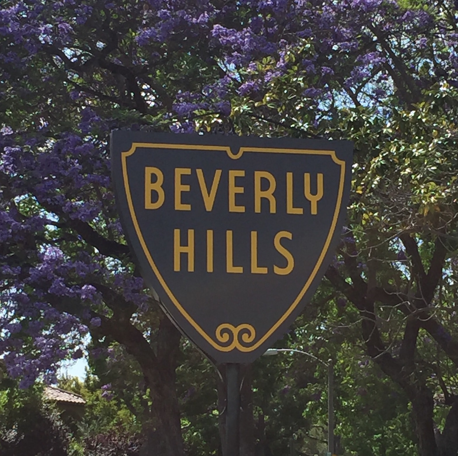 beverly hills.jpg