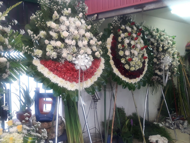 Opiniones de Jardin Martha en Lima - Floristería