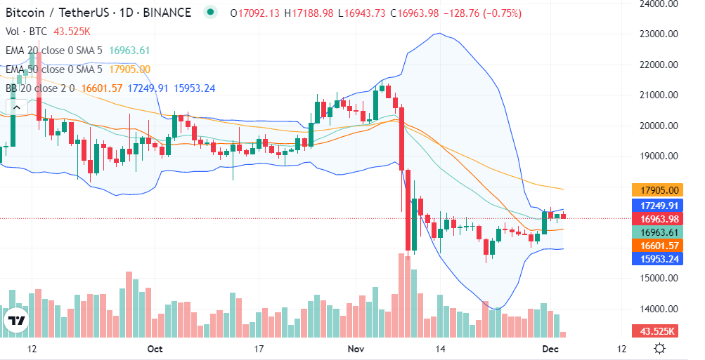 Bitcoin / TetherUS 1D (Source: CoinMarketCap)