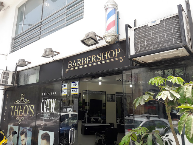 THEO'S Barbería - La Molina