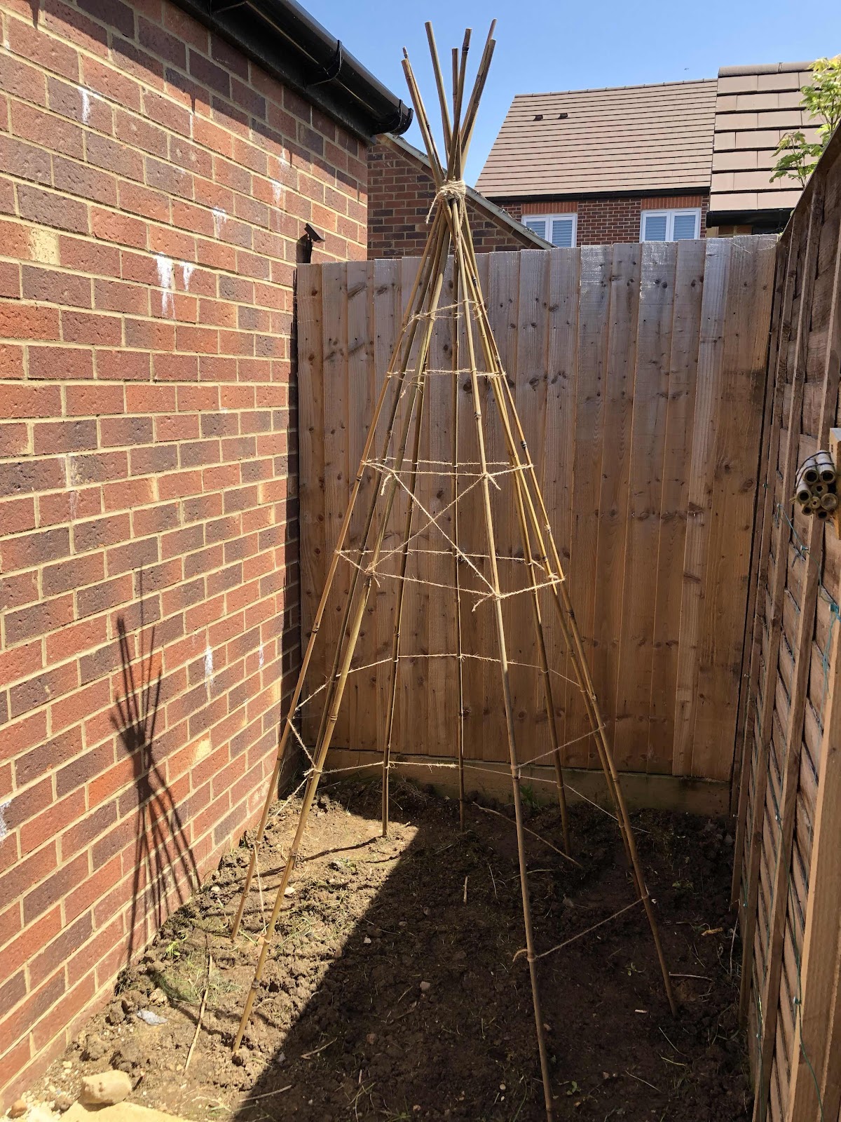 Bamboo cane kids teepee 