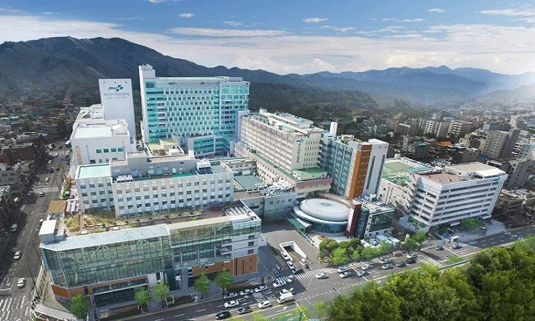 Trường Đại học Quốc gia Pusan Hàn Quốc