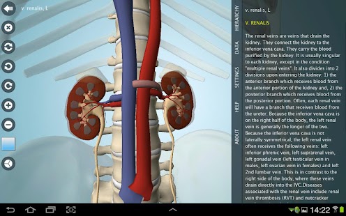 Anatomy 3D Pro - Anatronica apk