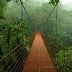Gran foto tour en la selva amazónica