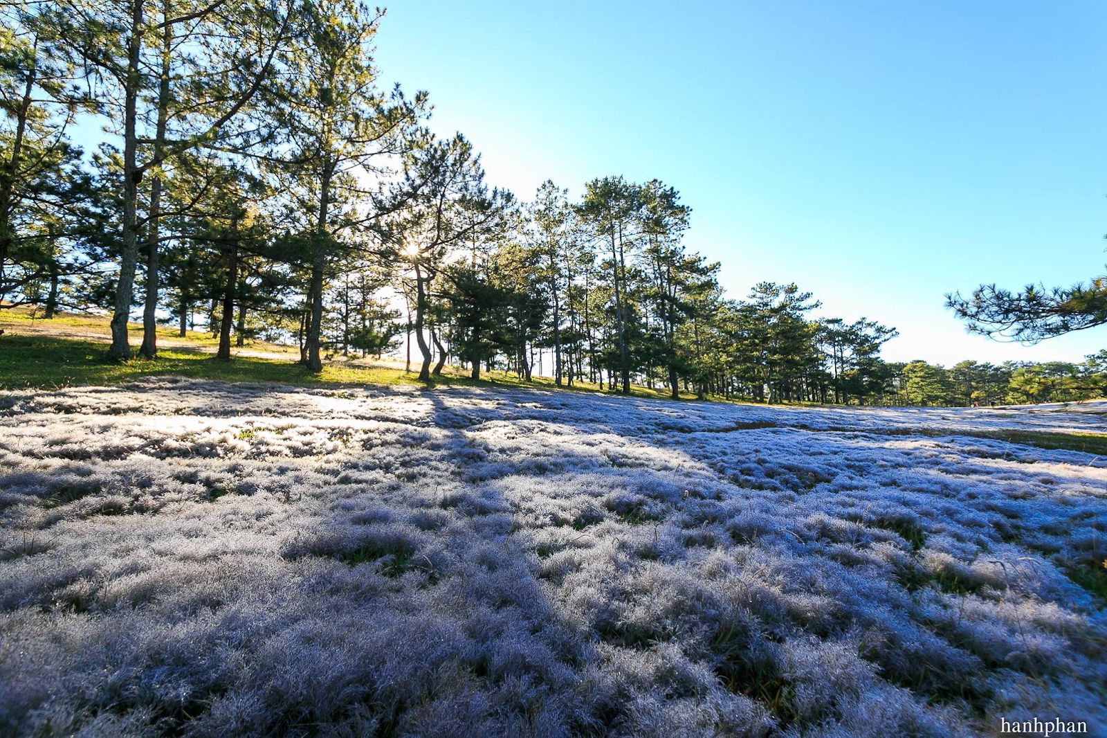 Đồi cỏ tuyết thường xuất hiện vào lúc sáng sớm tinh mơ, khi mặt trời còn chưa ló dạng (Nguồn: Internet)