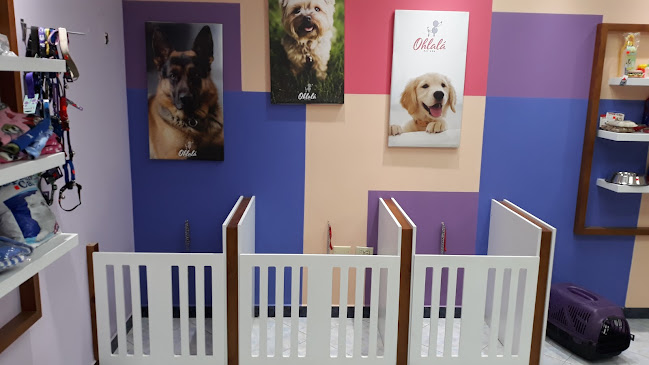 Ohlalá pets spa - Spa