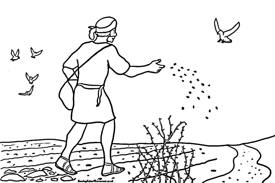 The Parable of the sower! – Mind Grid Perspectives