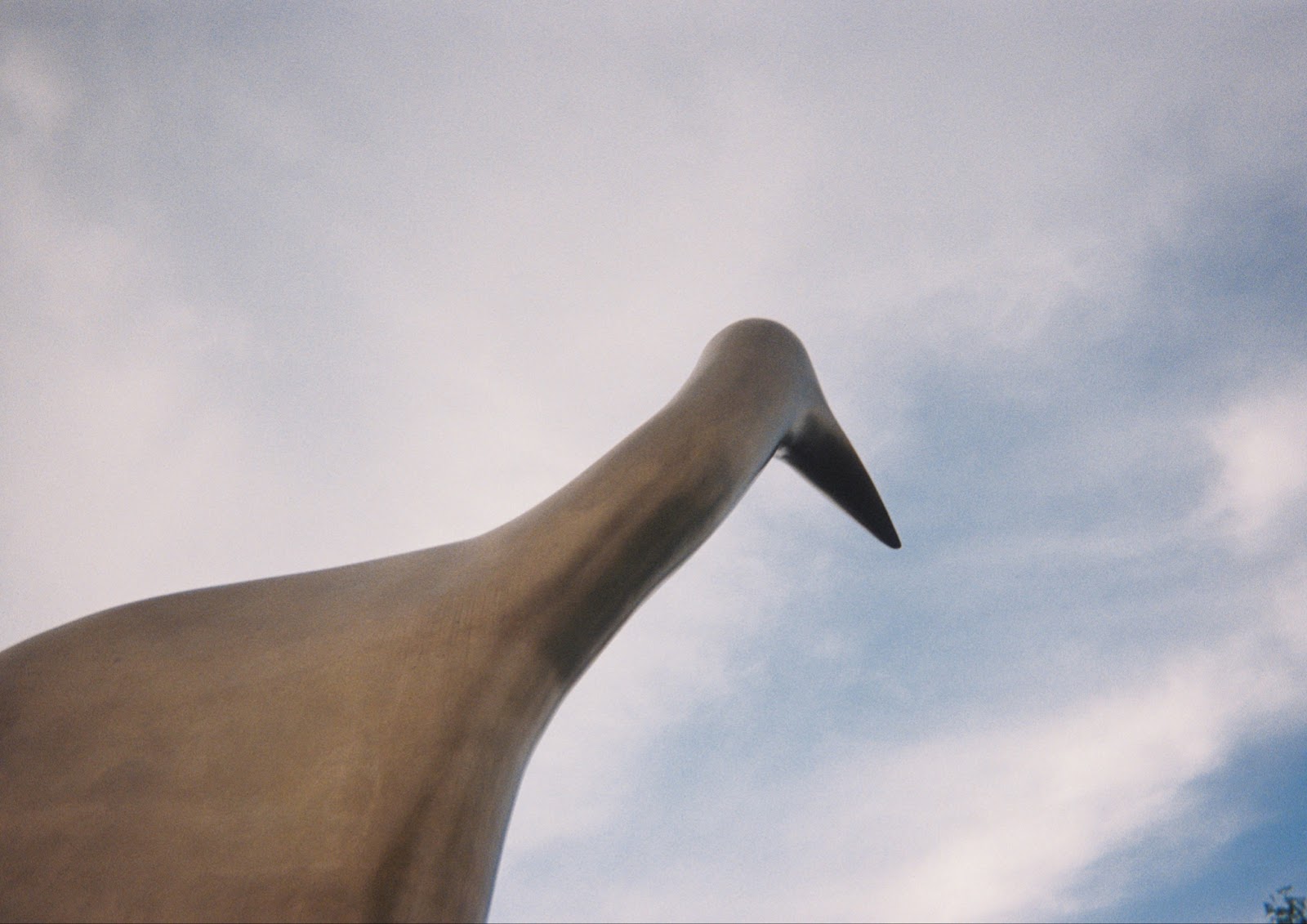 Image: Detail shot of Spirit of Survival, 1998. Metal egret's beak against the sky faced away from the camera. Courtesy of the author.