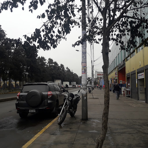 Cálima Bordados Computarizado Las Malvinas Lima