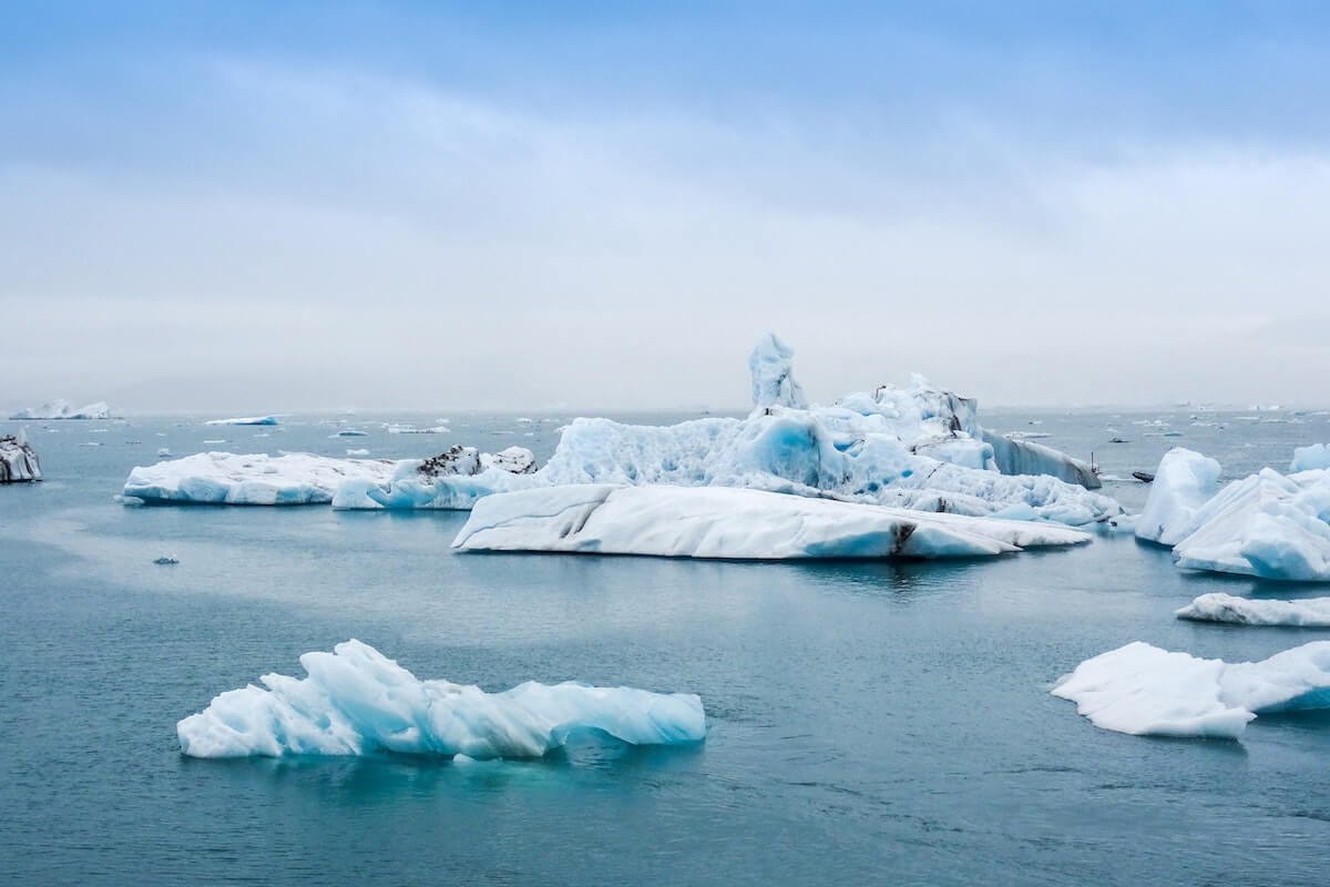 calota polară gheață ocean