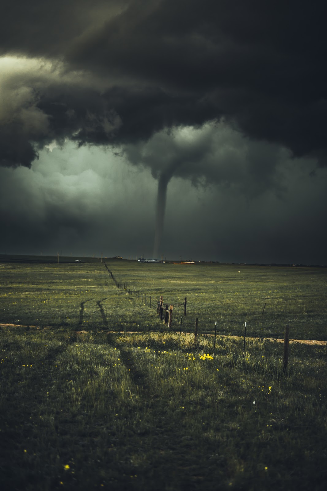 picture of a tornado in a field