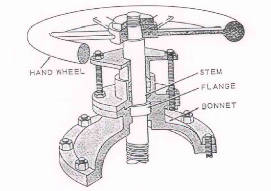 Stem Designs